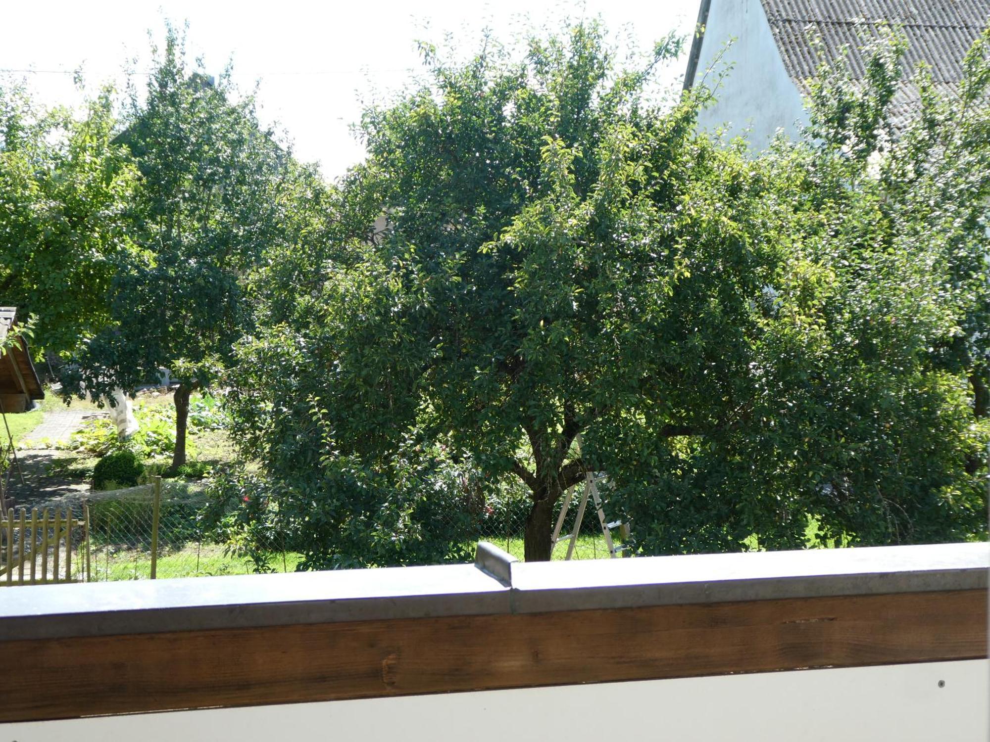 Waldesblick, Hotel-Restaurant Lahr  Dış mekan fotoğraf
